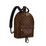 LV Palm Springs Backpack Mini&Small&Medium - Image 5