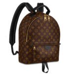 LV Palm Springs Backpack Mini&Small&Medium - Image 6
