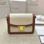 Celine Teen Triomphe Bag Small&Medium - Image 20