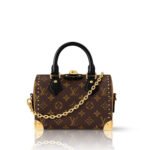 Louis Vuitton Speedy Trunk 20 Bag