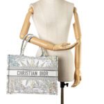 DIOR Book Tote Starlight&Star Tote Bags - Image 2