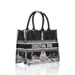 Dior Book Tote Paris Medium Bag