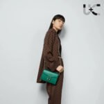 GUCCI Dionysus Shoulder Chain Bag - Image 2