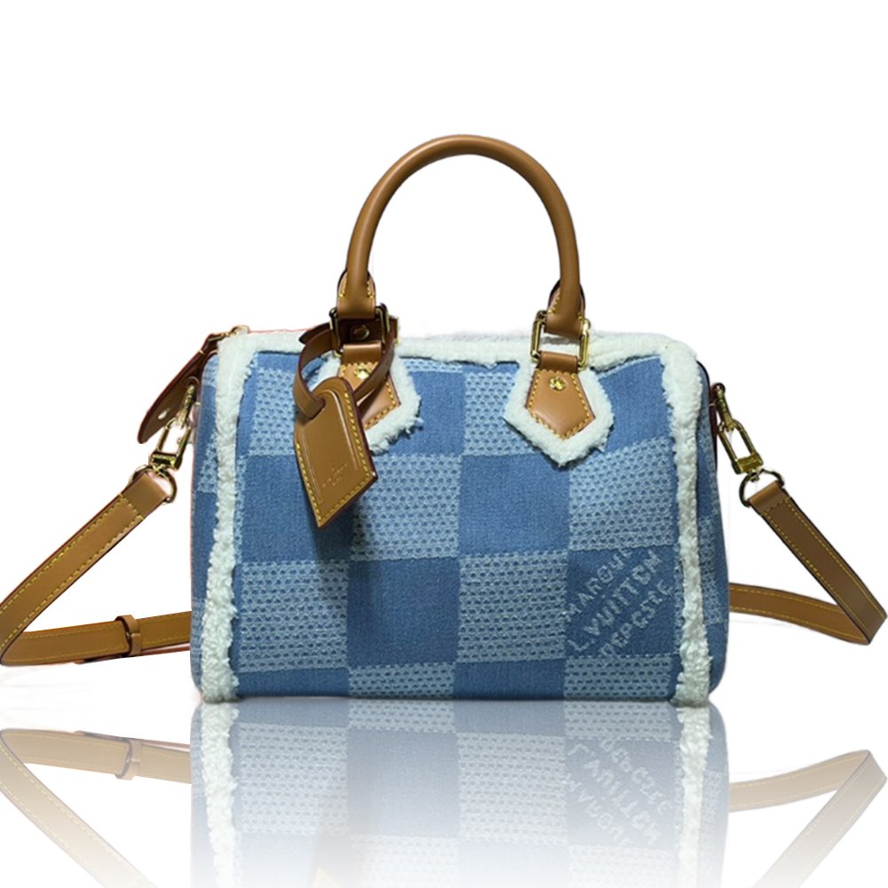 Louis Vuitton Speedy25 Denim Canvas Bag