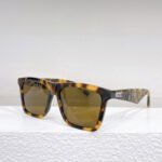 Dior Logo Leg Plate Frame sunglasses Top quality - Image 3