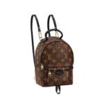 LV Palm Springs Backpack Mini&Small&Medium - Image 3