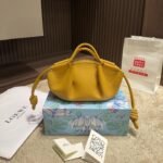 Loewe Shiny Nappa Calfskin Paseo Bag - Image 8