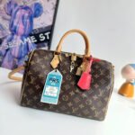 Louis Vuitton Speedy Soft 30 Crafty in Canvas with Gold-tone - Image 4