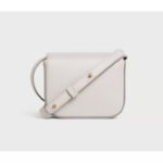 Celine MINI TRIOMPHE IN SHINY CALFSKIN white Very Rare Colour - Image 2