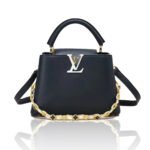 Louis Vuitton LV Capucines  Bag