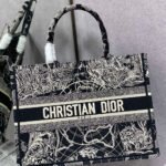 DIOR Book Tote Starlight&Star Tote Bags - Image 12