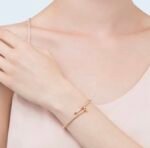 Cartier 3-color JUSTE UN CLOU bracelet - Image 2