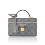Louis Vuitton Vanity Pouch Bag