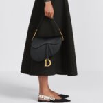 Dior Mini&Small Saddle Bag Grained Calfskin - Image 2